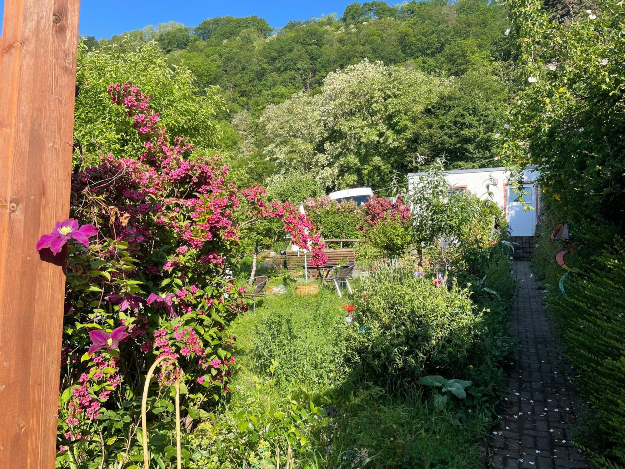 Blick Ins Gruene, Nah Am Zentrum Trier Exteriör bild